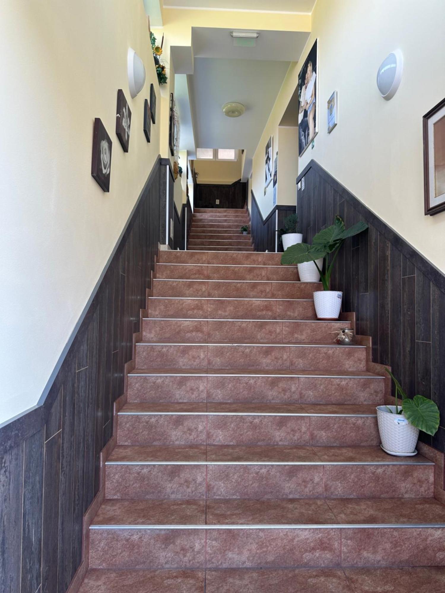 فندق Casa Clau Orşova المظهر الخارجي الصورة